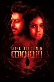 Operation Laila movie poster