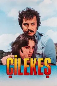 Poster do filme Çilekeş