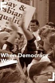 When Democracy Works movie poster