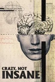 Crazy, Not Insane movie poster