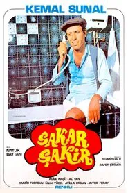 Poster do filme Sakar Şakir