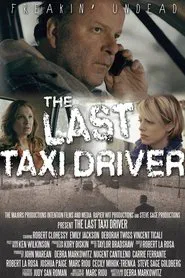 The Last Taxi Driver movie poster