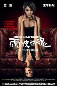The Stormy Night movie poster