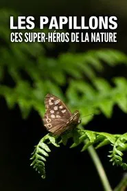 Les Papillons, ces super-héros de la nature tv show poster