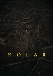 Molar movie poster