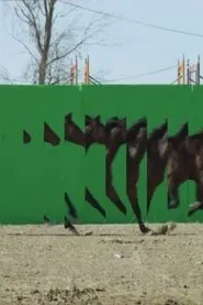 Playgrounds In Motion movie poster