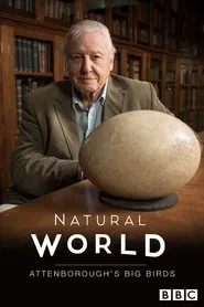 Attenborough's Big Birds movie poster