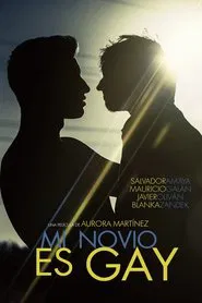My Boyfriend Is Gay movie poster