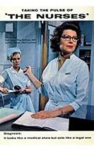 The Nurses tv show poster