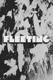 FLEETING movie poster
