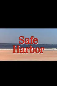 Safe Harbor tv show poster