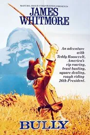 Bully: An Adventure with Teddy Roosevelt movie poster