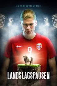 Landslagspausen movie poster