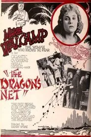 The Dragon's Net movie poster