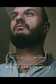 A Walk Down to Water movie poster