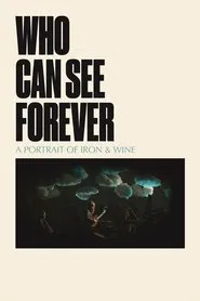 Who Can See Forever movie poster