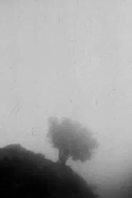 Only If You Could See a View Above the Clouds movie poster