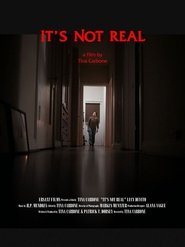 It's Not Real movie poster
