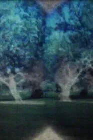 Apparitions movie poster