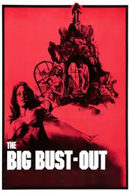 Poster do filme The Big Bust-Out