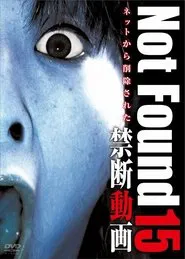 Poster do filme Not Found 15