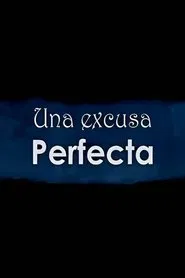 Una excusa perfecta movie poster