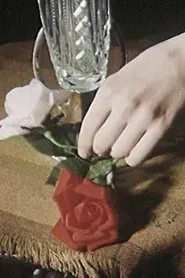 The Poet, the Spider and the Hand﻿ movie poster