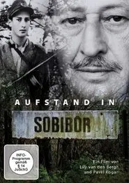 Poster do filme Revolt in Sobibor