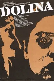 Poster do filme Dolina