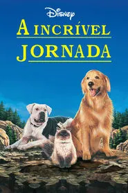 Poster do filme A Incrível Jornada