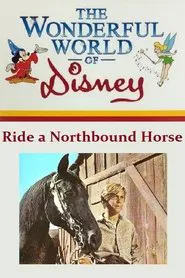 Poster do filme Ride a Northbound Horse