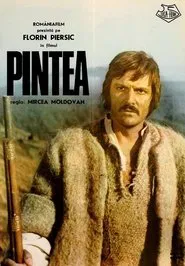 Poster do filme Pintea