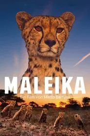 Poster do filme Maleika