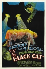 The Black Cat movie poster