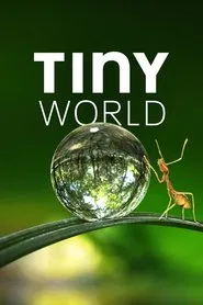 Tiny World tv show poster