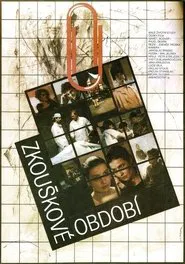 Poster do filme The Period of Examinations
