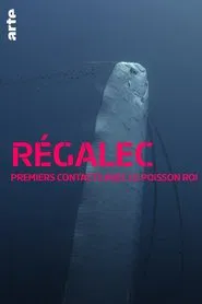 Régalec, premiers contacts avec le poisson roi movie poster