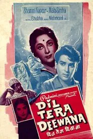 Dil Tera Diwana movie poster