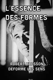 The Essence of Forms movie poster