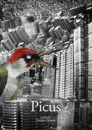 Picus movie poster