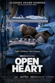 Open Heart movie poster