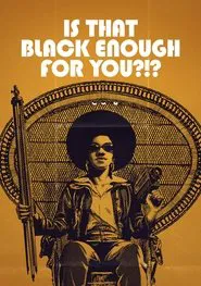 Is That Black Enough for You?!? movie poster