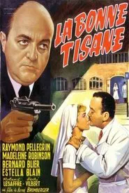 Poster do filme Secrets of a French Nurse
