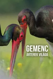 Gemenc – The World of Floodplains movie poster