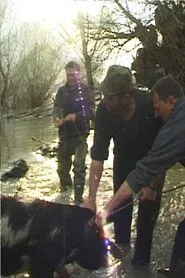 Danube Soap Opera movie poster