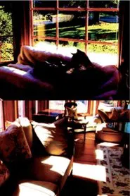 Poster do filme Aberration of Starlight