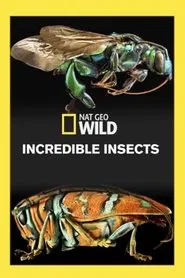 Incredible Insects movie poster