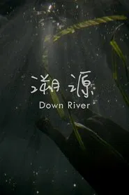 Down River movie poster