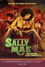 Sally Mae: The Revenge of the Twin Dragons movie poster