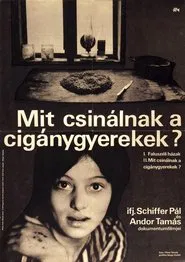 What Do Gypsy Children Do? movie poster